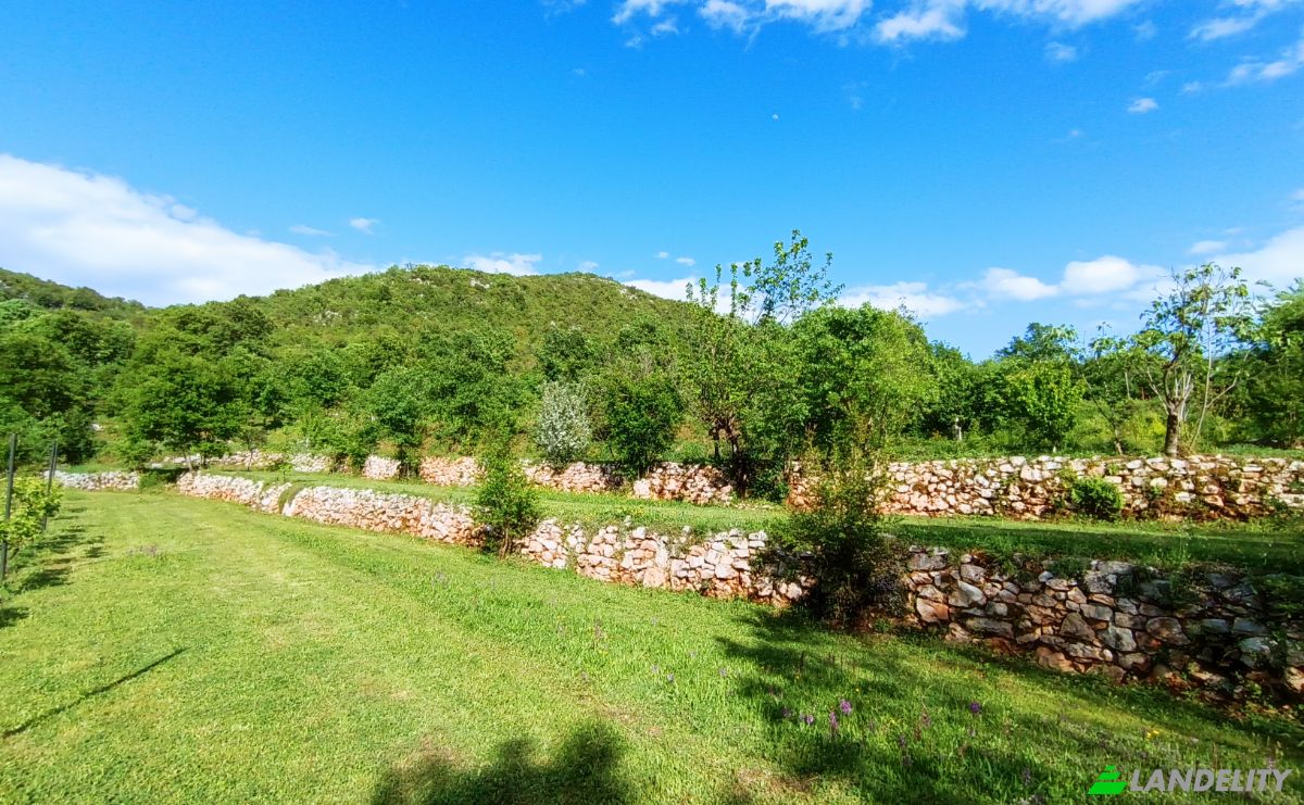 Земельна ділянка продаж Neimenovani Put, Drusici, Cetinje Municipality, Montenegro. Фото 3